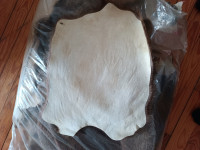Prodam kože nutrij