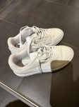 Puma 41