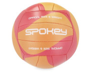 Odbojkarska žoga za dvorano ali mivko