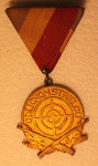 MEDALJA STRELSKA