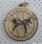 Medalja TAEKWON-DO zlata
