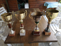 Pokal - komplet pokalov