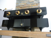 GRYPHON XT predojačevalnik