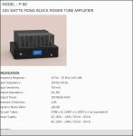 VRHUNSKI MONO BLOK KINGS AUDIOPHILE PAR 2 x 100 W RMS