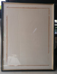 OKVIR lep debel s steklom 50 64 n40,5 54,5