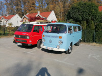Vw t2, t3, hrošč