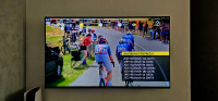 SONY BRAVIA 55