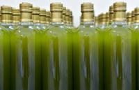 Domače HLADNO STISKANO istrsko oljčno (olivno) olje ! !