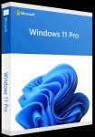 Windows 11 Pro (retail)