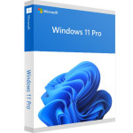 Windows 11 pro
