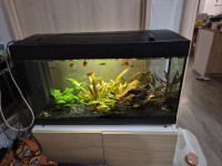 Akvarij 100 l
