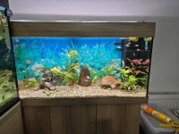 Akvarij 200 l