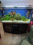 Akvarij 300l