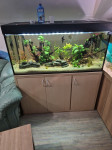 Akvarij 400 l