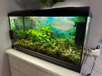 Akvarij z opremo (110 L)