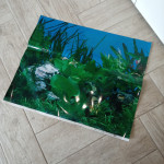 Ozadje za akvarij - ( Dvostransko ) - Fototapeta - Mere 60x50 cm