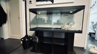 Prodam alvarij eheim 240l