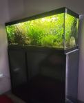 Prodamo akvarij komplet Aguatlantis160L