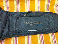 2x torba za električno kitaro Ibanez in Proel