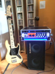 TC Electronic RS 210 bas boks