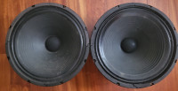 Rocktron S 112 zvočnik
