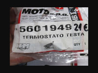 TERMOSTAT ART.5601949