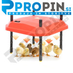 Grelna plošča za piščance 25x25cm - 45x60cm, 13W-66W (15-55 piščancev)