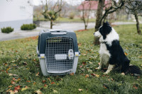 Boks za pse Stefanplast Gullive 5 (IATA)