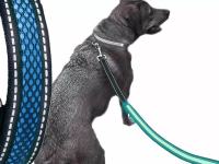 LED modri pasji povodec 120cm