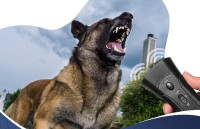 Odganjalec psov, motilec- pes zbeži