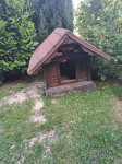 Pasja hiša