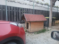 pasja uta hiška dostava ljubljana
