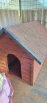 Pasja uta