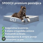 NOVE Pasje posteljice