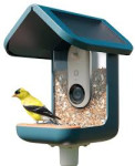 Birdbuddy PRO Solar pametna hranilica za ptice s 2K HDR kamerom i sola