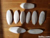 Sipine kosti za ptice, želve, polže... naprodaj