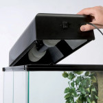 kupim exoterra okovje za zarnico