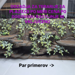 Odzadje za plazilce po meri