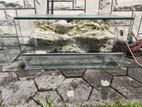 Terarij s kamnitim ozadjem