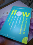 Mihaly Csikszentmihalyi: Flow
