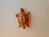 Broška želva