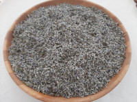 Sivka, lavanda
