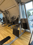 PRECOR ICARIAN PULL ROW – profesionalna naprava za vadbo hrbtnih mišic