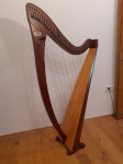 Harfa Salvi keltska