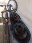 Kolo