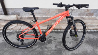 Žensko - dekliško Gorsko kolo Rockhopper Specialized
