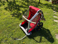 Bellelli B Travel