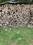 bukova drva