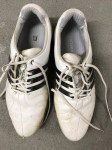 Moški čevlji za golf Adidas Tour 360 št. 44