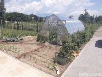 Rastlinjak 2,6 x 2 m